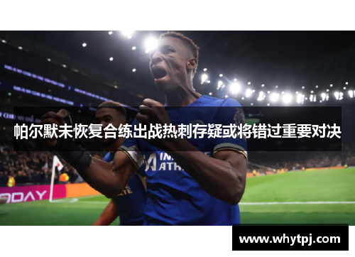 帕尔默未恢复合练出战热刺存疑或将错过重要对决 帕尔默未恢复合练出战热刺存疑或将错过重要对决